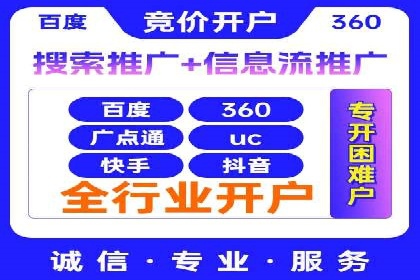 成功SEM服务案例分析报告